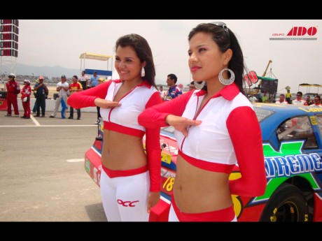 Chicas OCC NASCAR